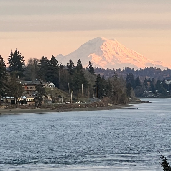 Meet your Posher, Shamshad - Picture 1 of 2